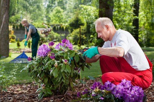 Gardener Seven Sisters team working on a landscape project